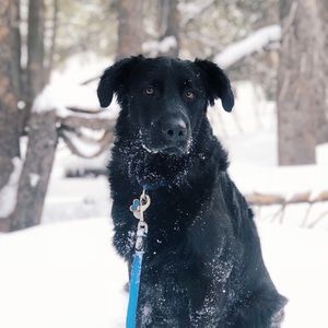 Meet your Posher, Christopher